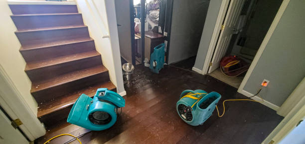 Best Water damage cleanup near me  in Baker City, OR