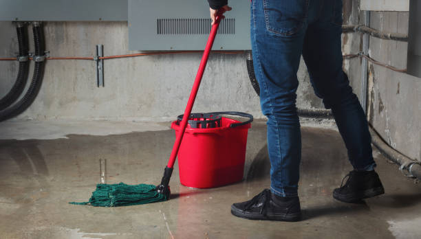 Best Basement water damage restoration  in Baker City, OR