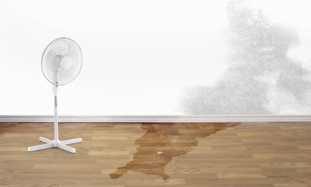 Best Flooded house restoration  in Baker City, OR