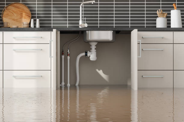 Best Flooded house restoration  in Baker City, OR